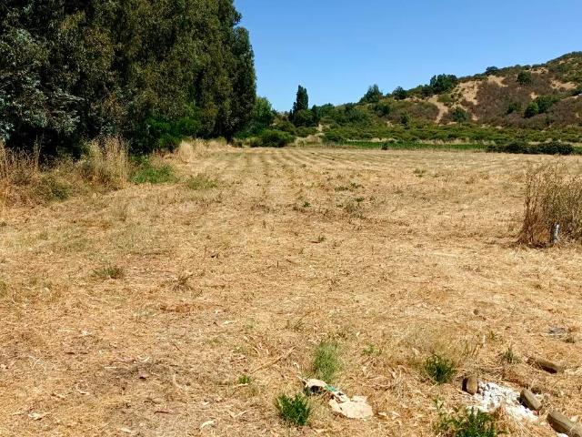 VENDO parcela con pozo y árboles, Palmilla