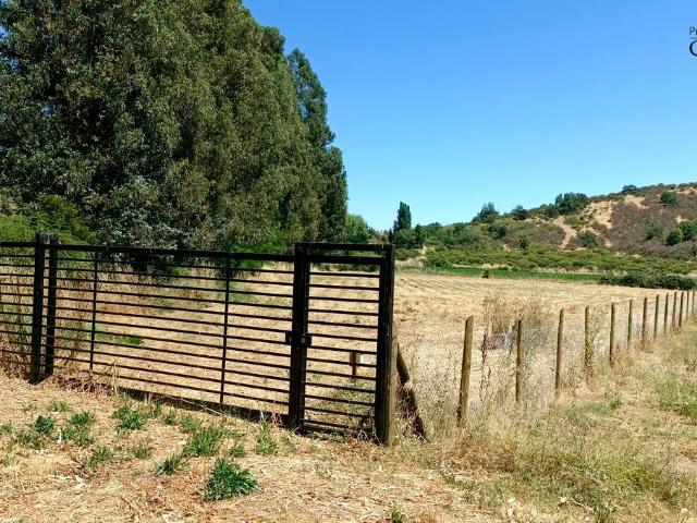 VENDO parcela con pozo y árboles, Palmilla