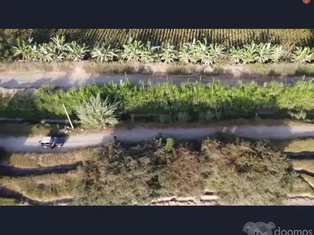Terreno venta en Chincha Alta, Ica