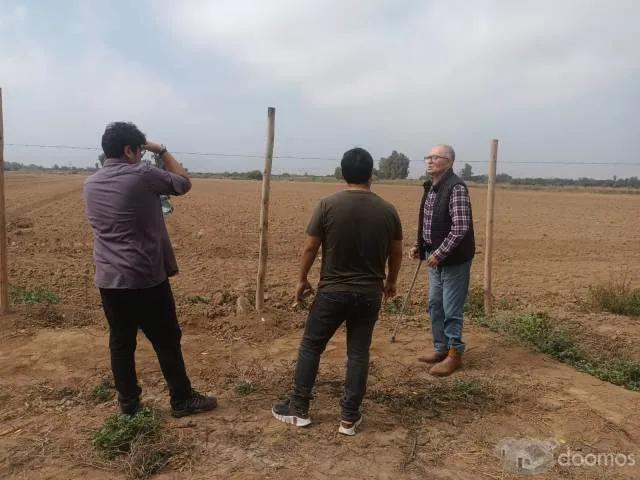 Terreno venta en Chincha Alta, Ica