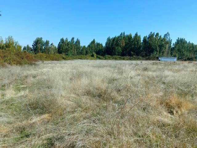 VENDO parcela de agrado, Peralillo, Colchagua