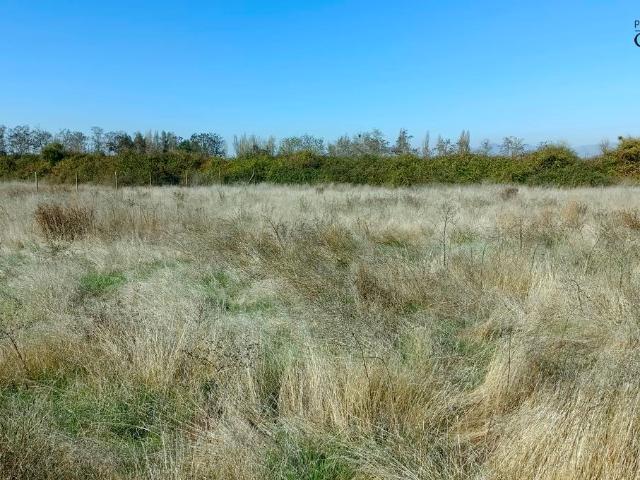VENDO parcela de agrado, Peralillo, Colchagua