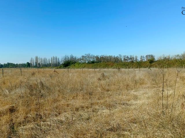 VENDO parcela de agrado, Peralillo, Colchagua