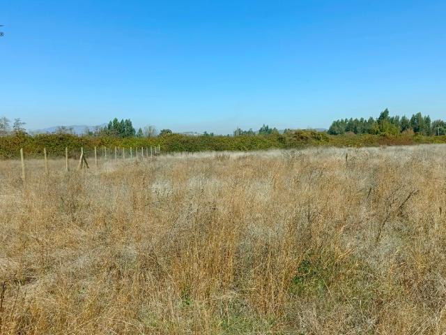 VENDO parcela de agrado, Peralillo, Colchagua