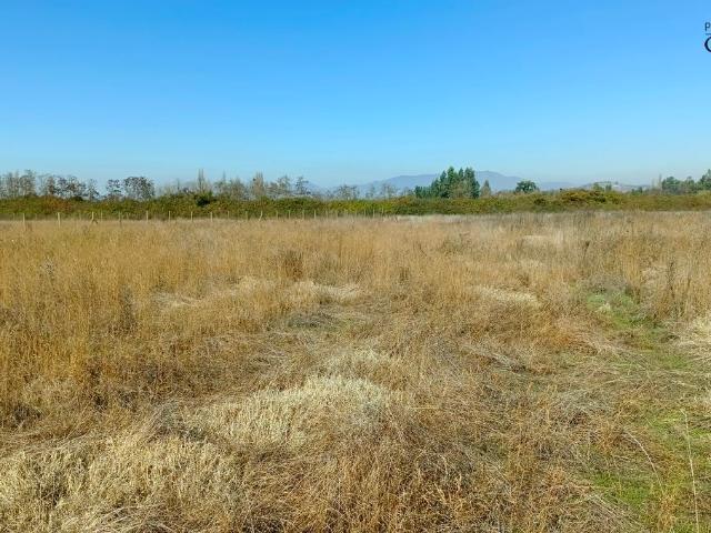 VENDO parcela de agrado, Peralillo, Colchagua