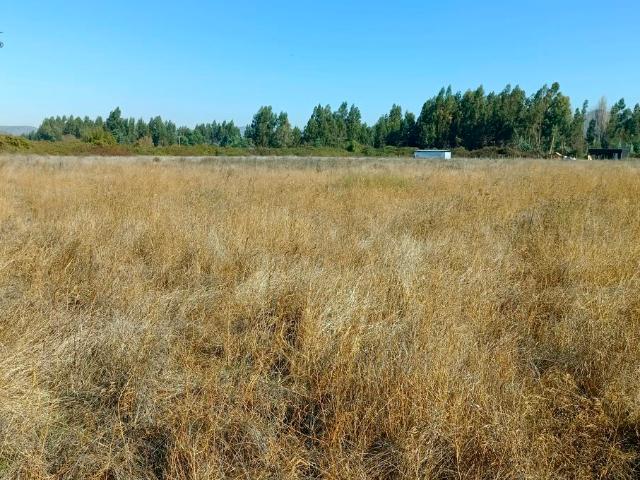 VENDO parcela de agrado, Peralillo, Colchagua