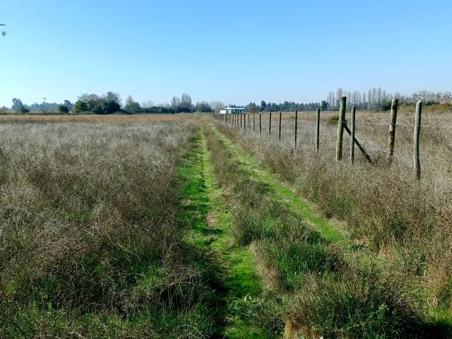 VENDO parcela de agrado, Peralillo, Colchagua