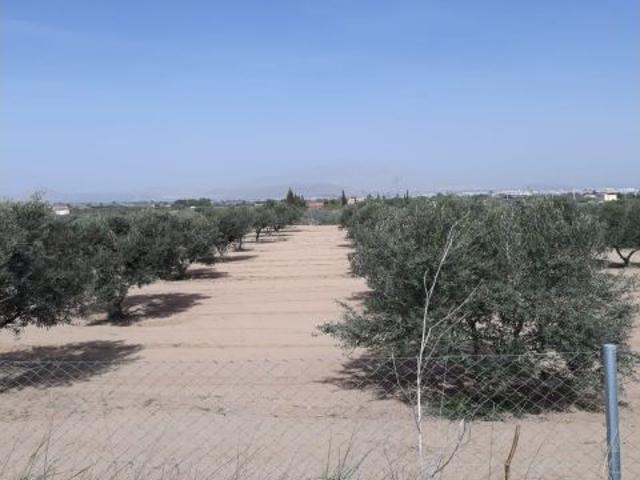 Casa en venta en el Vinalopó Mitjà / El Vinalopó Medio, Valencia