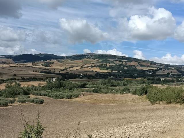 Terreno in vendita a Puglia, Foggia