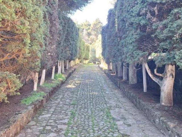 vendo precioso Rancho en Santo Tomás Ajusto, a 30 min de Periférico Sur, 4970m2