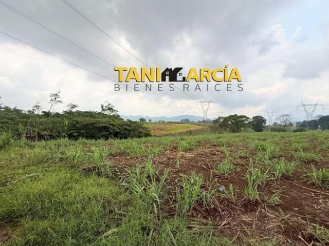 Terreno en venta en Amatlán De Los Reyes, Veracruz