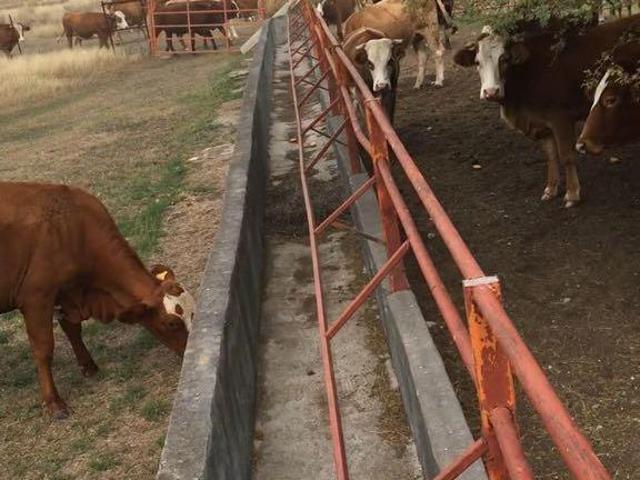 VENDO RANCHO GANADERO EN LINARES, N.L