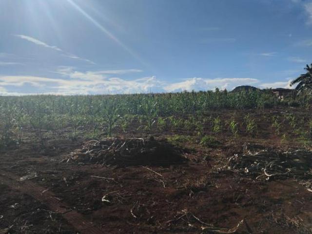 Sítio e chácara venda em Região Geográfica Imediata de Rio Verde, Rio Verde