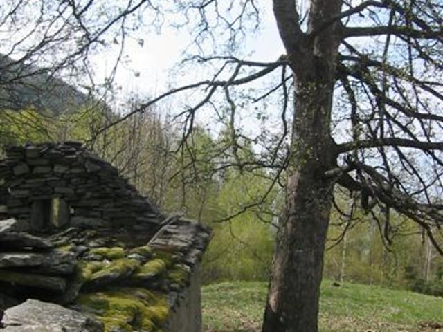Rustico in vendita a Piemonte, Verbano-cusio-ossola
