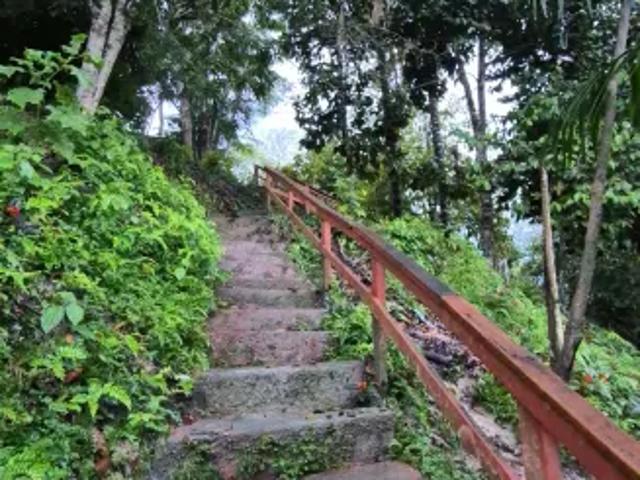 Fazenda venda em Região Geográfica Imediata de Manaus, Itamarati