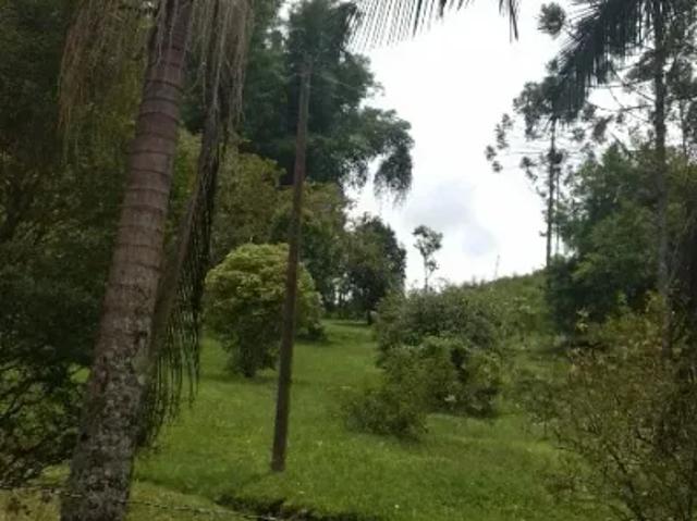 Fazenda venda em Região Imediata de Taubaté-Pindamonhangaba, Região Metropolitana do Vale do Paraíba e Litoral Norte