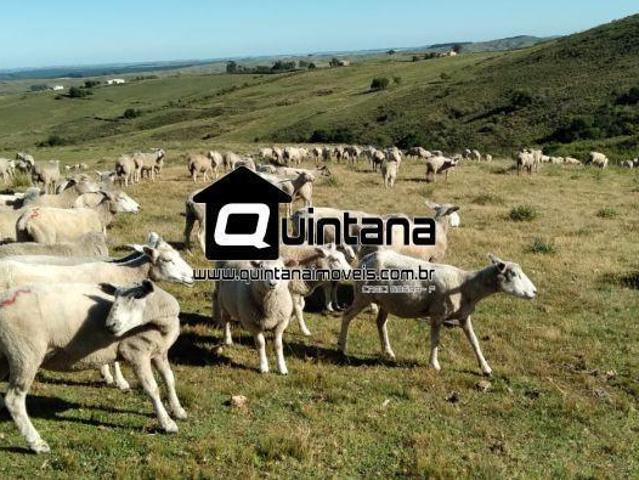 Sítio e chácara venda em Região Geográfica Imediata de Uruguaiana, Alegrete