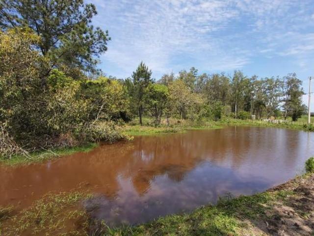 Sítio e chácara venda em Região Geográfica Imediata de Novo Hamburgo - São Leopoldo, Região Metropolitana de Porto Alegre