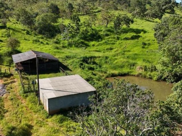 Sítio e chácara venda em Região Geográfica Imediata de Anápolis, Região Integrada de Desenvolvimento do Distrito Federal e Entorno