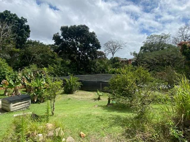 Fazenda venda em Região Geográfica Imediata de Ilhéus – Itabuna, Itabuna