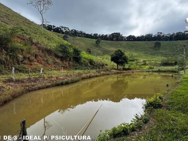 Sítio e chácara venda em Região Geográfica Imediata de Conselheiro Lafaiete, Itaverava