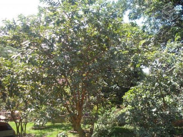 Sítio e chácara venda em Jardim Encantado, Vespasiano