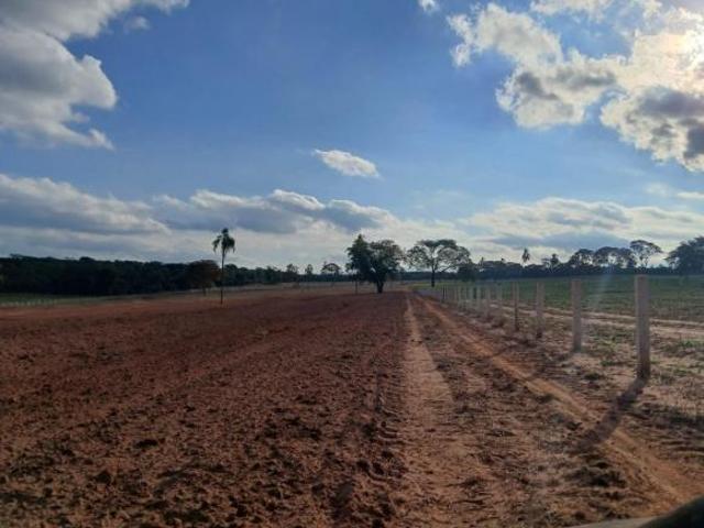 Sítio e chácara venda em Região Imediata de Bauru, Iacanga