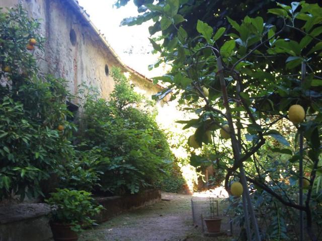 Palazzo in vendita a Pescia, San Lorenzo a Cerreto
