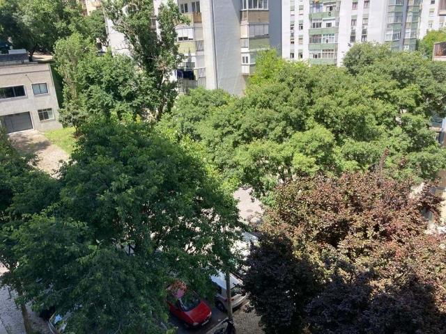 Apartamento venda em Avenidas Novas, Lisboa