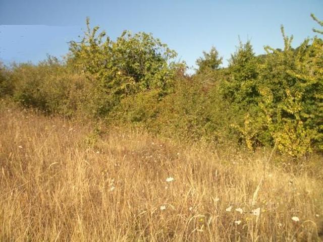Terreno in vendita a Castropignano, Molise