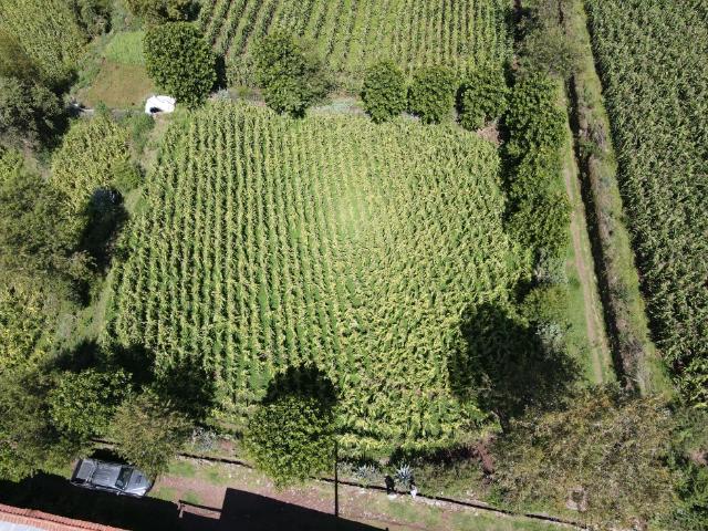 Terreno venta en San Jeronimo