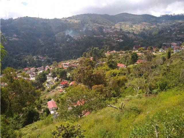 Terreno en venta en Ribas.