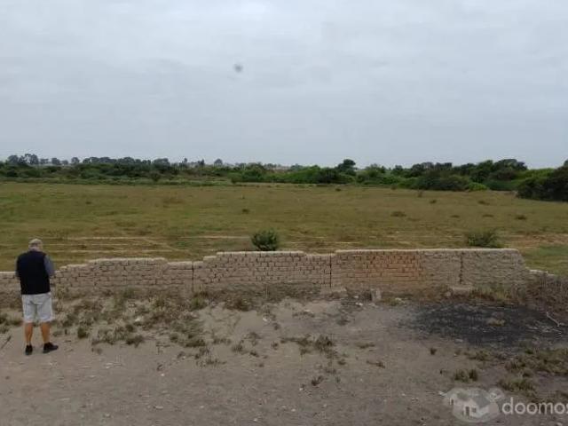 Terreno venta en Pisco, Ica