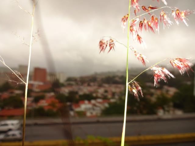 Terreno en venta en Boca De Uchire, Miranda