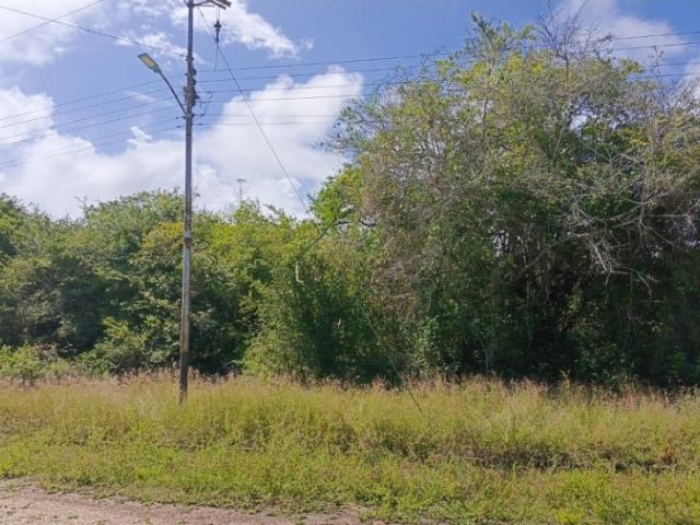 Terreno en venta en Cipriano, Miranda