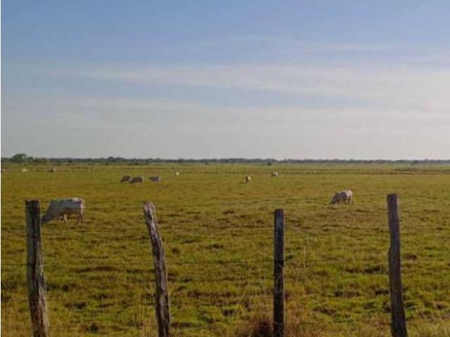 Terreno en venta en Bolívar