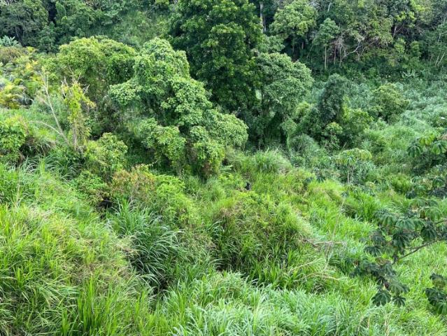 Terreno en venta en Boca De Uchire, Miranda