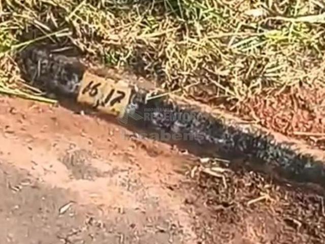 Terreno venda em Região Imediata de São José do Rio Preto, Região Metropolitana de São José do Rio Preto