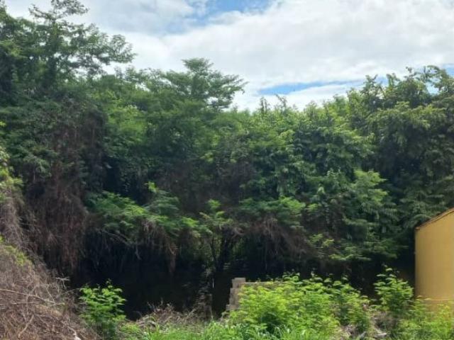 Terreno en venta en Lander, Miranda