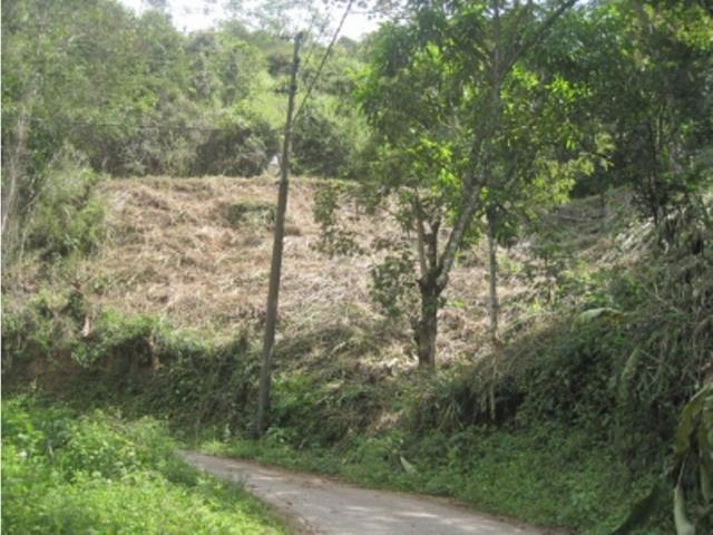 Terreno en venta en Boca De Uchire, Miranda