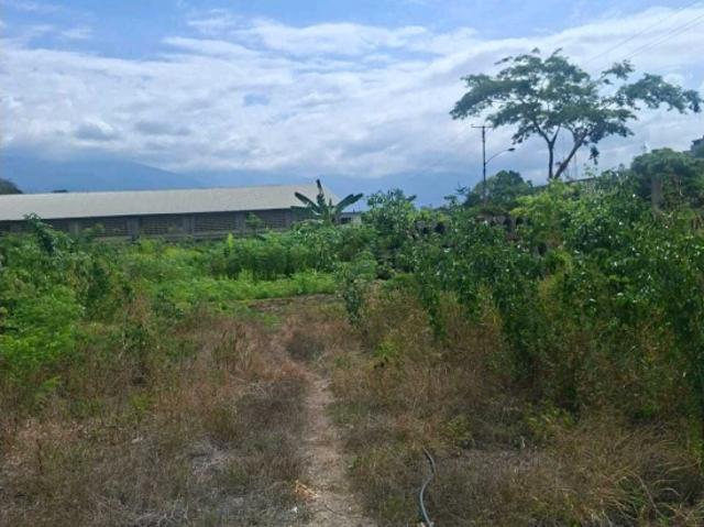 Terreno en venta en Guarenas, Miranda