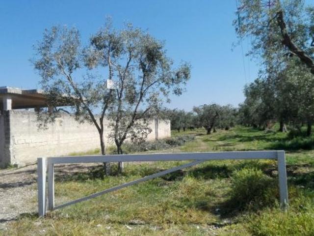 Terreno in vendita a Puglia, Bari