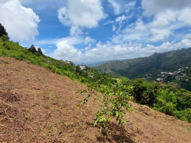 Terreno en venta en Francisco Linares Alcántara, Miranda