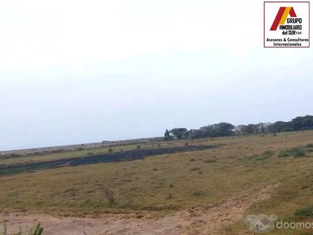Terreno venta en San Clemente, Ica