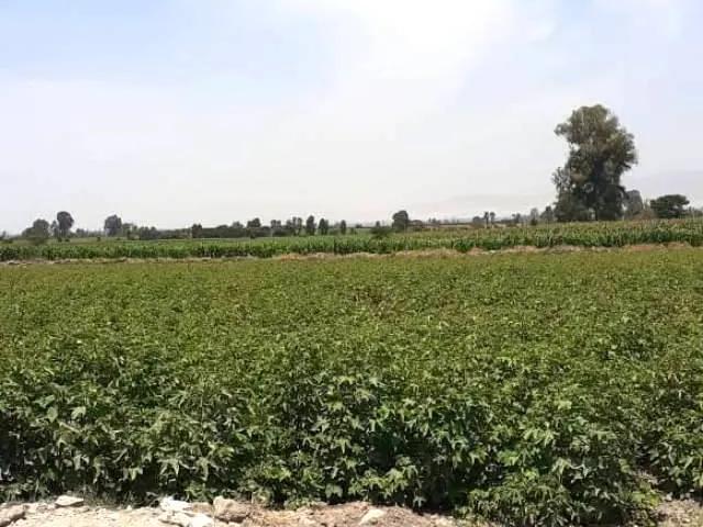 Terreno venta en Pisco, Ica