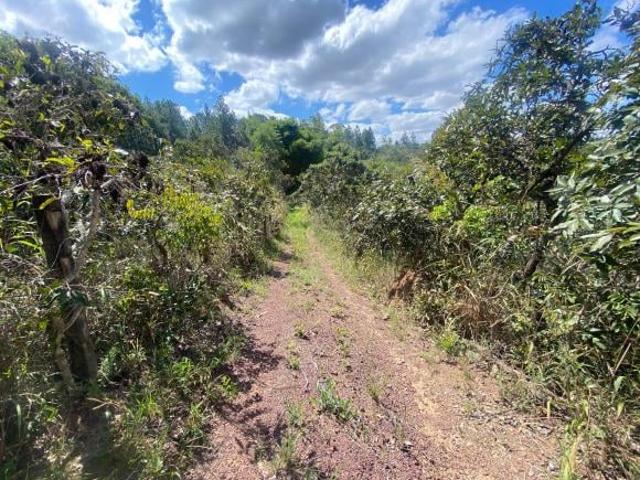 Terreno venda em Região Geográfica Imediata do Distrito Federal, Região Integrada de Desenvolvimento do Distrito Federal e Entorno