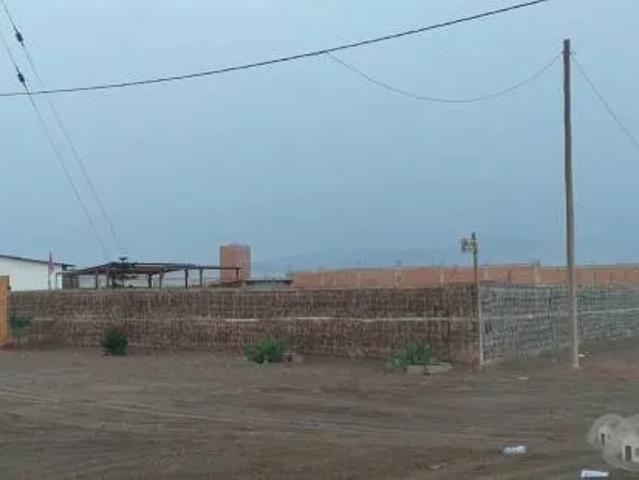 Terreno venta en Chacarilla De Carabayllo, Lima Metropolitana