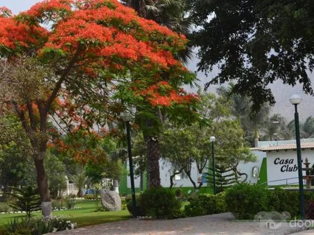 Terreno venta en Chaclayo, Lima Metropolitana