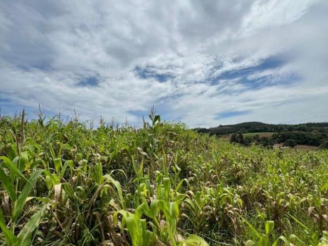 Terreno venda em Região Imediata de Sorocaba, Região Metropolitana de Sorocaba