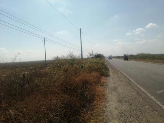 VENDO TERRENO DE 54.75 HECTAREAS EN TUMBES ZARUMILLA CON FRENTE A LA PANAMERICANA